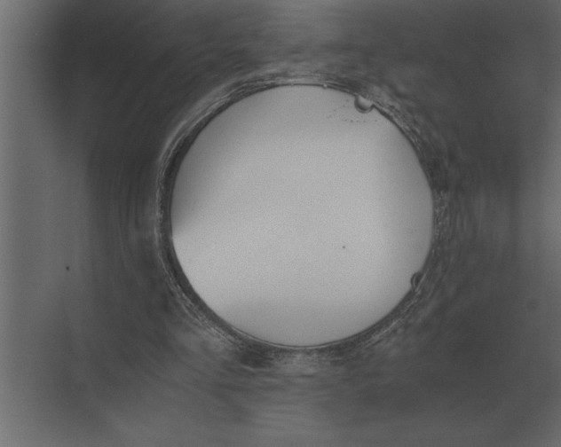 X0000073450293200608181246