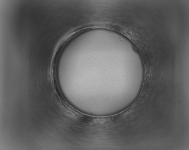 X0000073450294200608181246