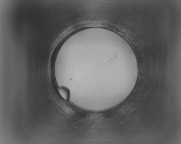 X0000073450296200608181246