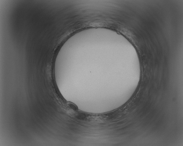 X0000073450297200608181246