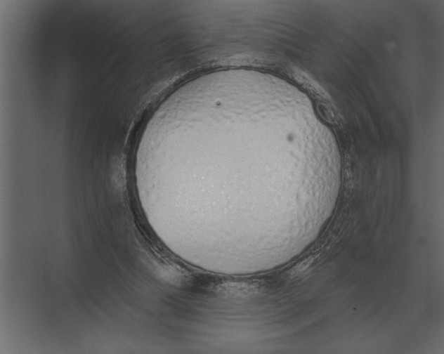 X0000073450298200608181246