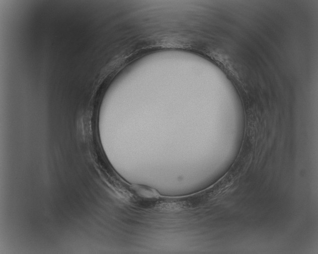 X0000073450299200608181246