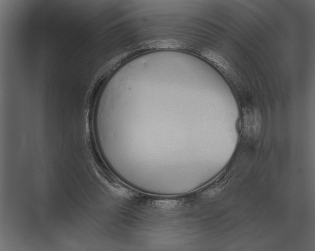 X0000073450302200608181245