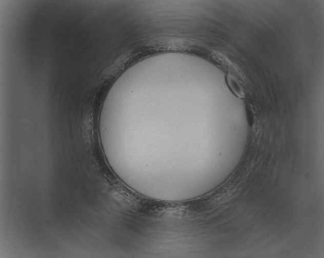 X0000073450306200608181245