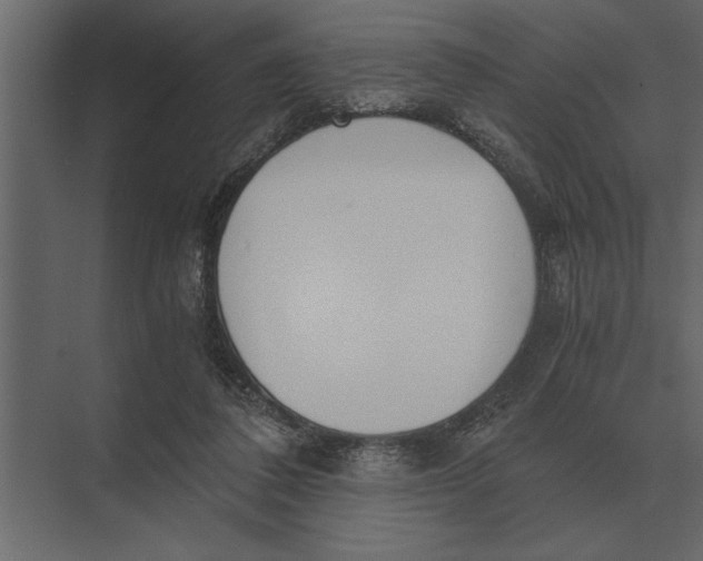 X0000073450308200608181245