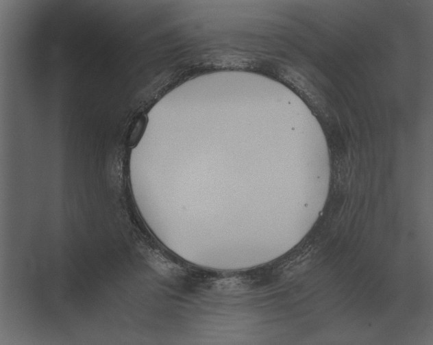 X0000073450309200608181245