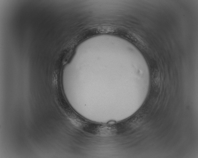 X0000073450315200608181245