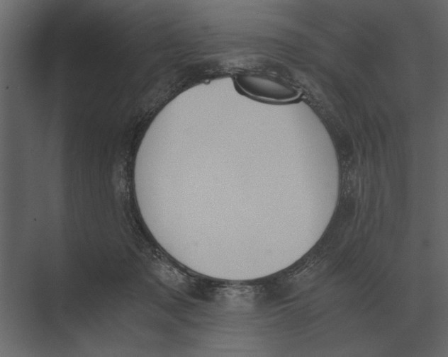 X0000073450317200608181245