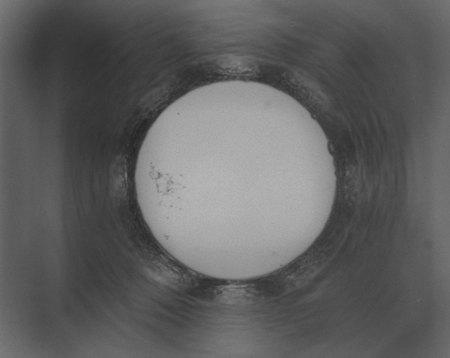 X0000073450320200608181245