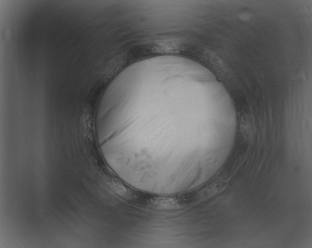 X0000073450322200608181245