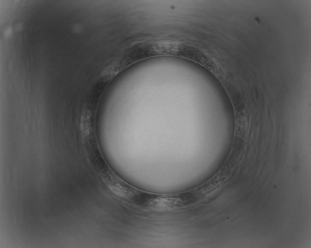 X0000073450323200608181245