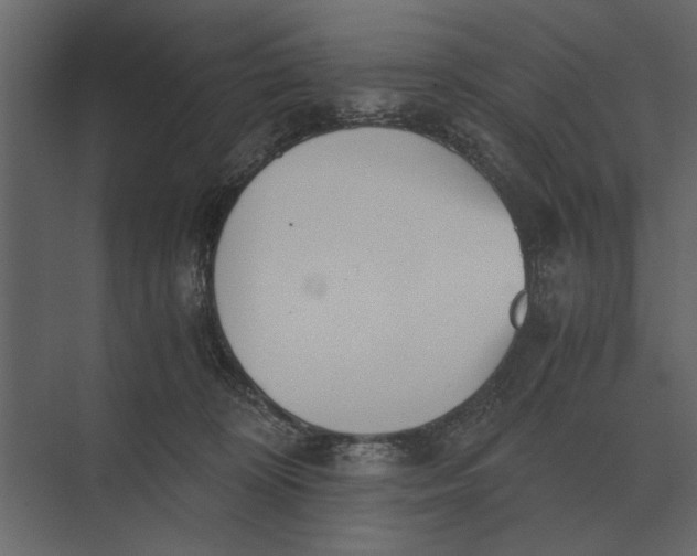 X0000073450324200608181245