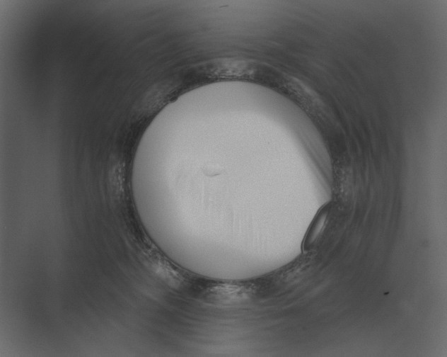 X0000073450326200608181245