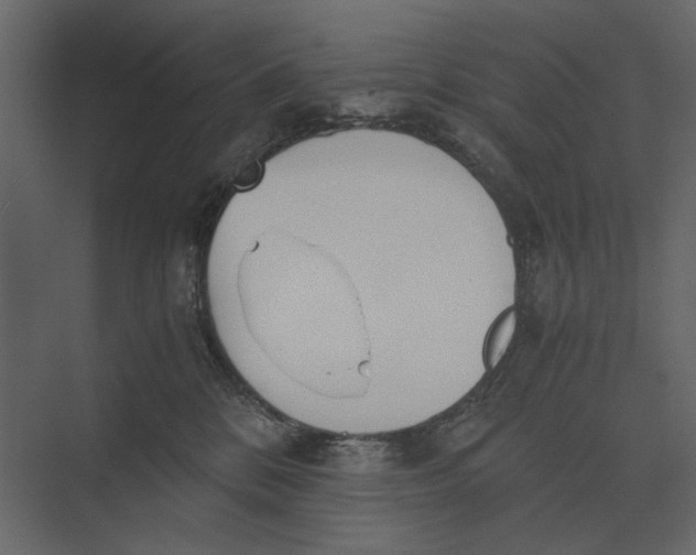 X0000073450328200608181245