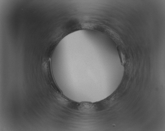 X0000073450329200608181245