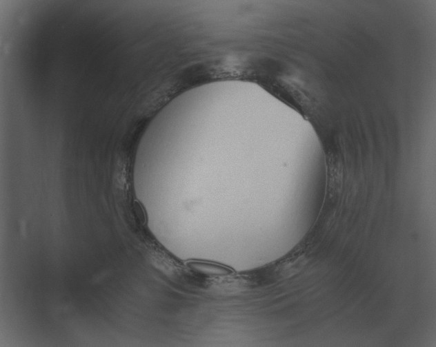 X0000073450331200608181245