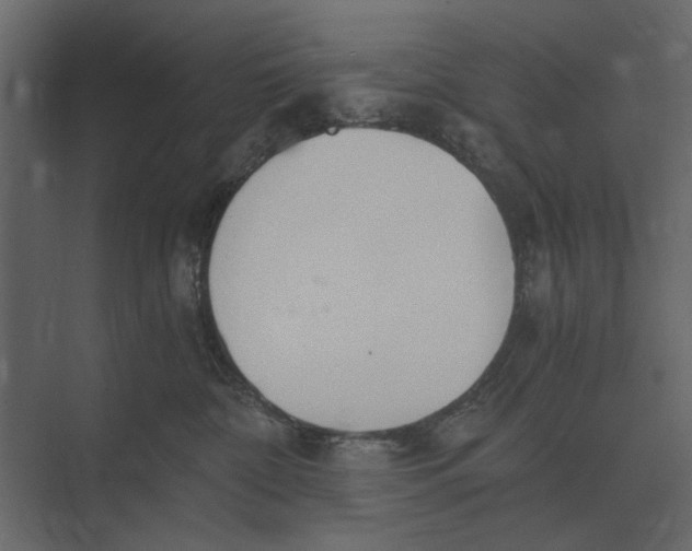 X0000073450332200608181245