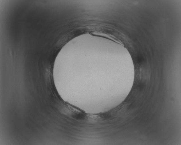 X0000073450333200608181245