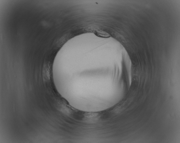 X0000073450334200608181245