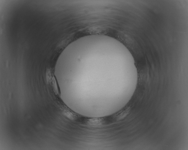 X0000073450335200608181245