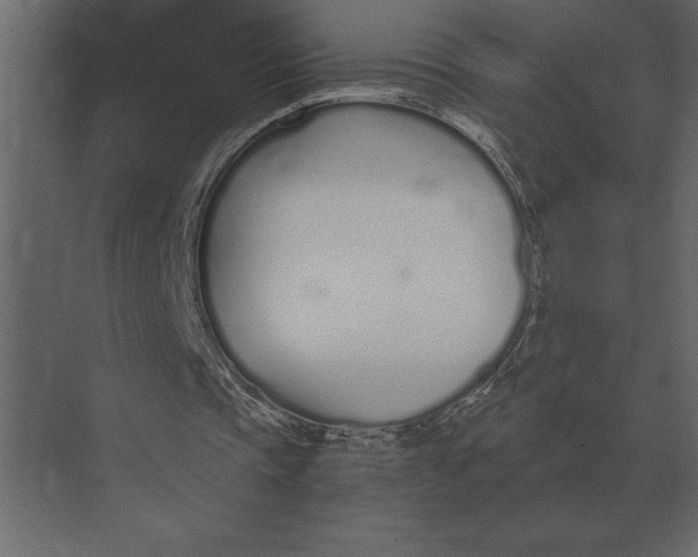 X0000073450337200608181244