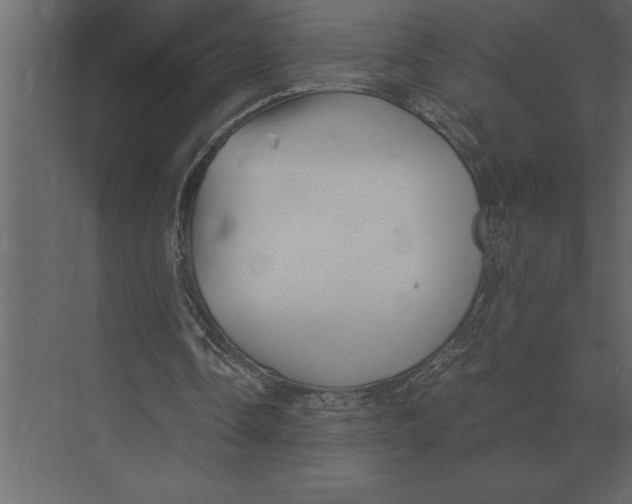 X0000073450338200608181244