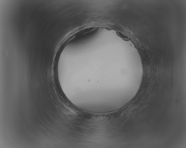 X0000073450340200608181244