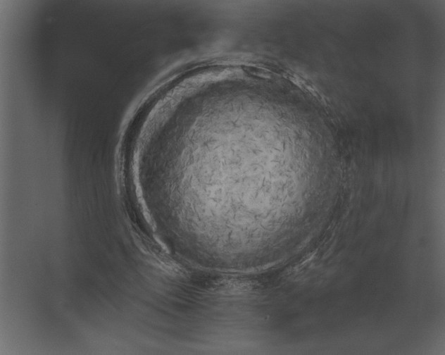 X0000073450343200608181244