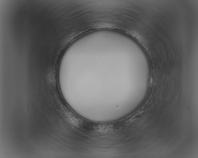 X0000073450345200608181244