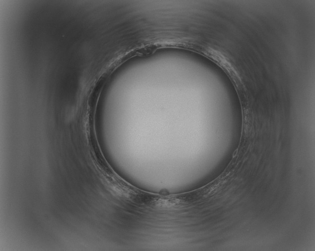 X0000073450346200608181244