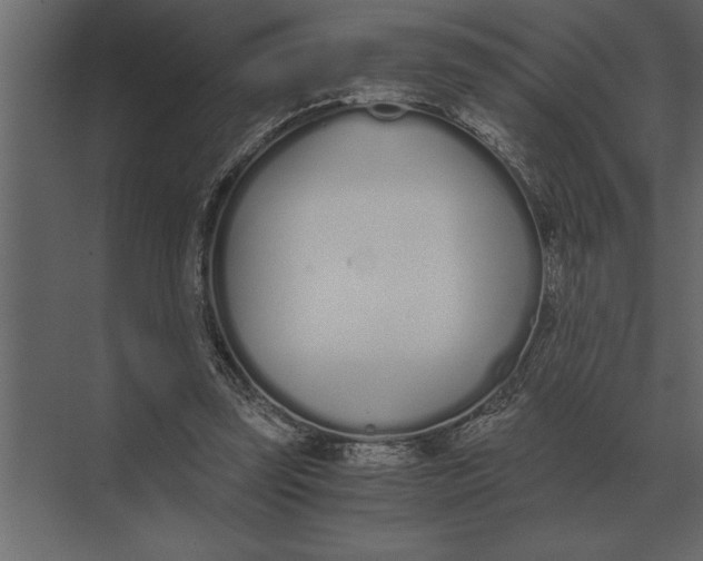 X0000073450347200608181244