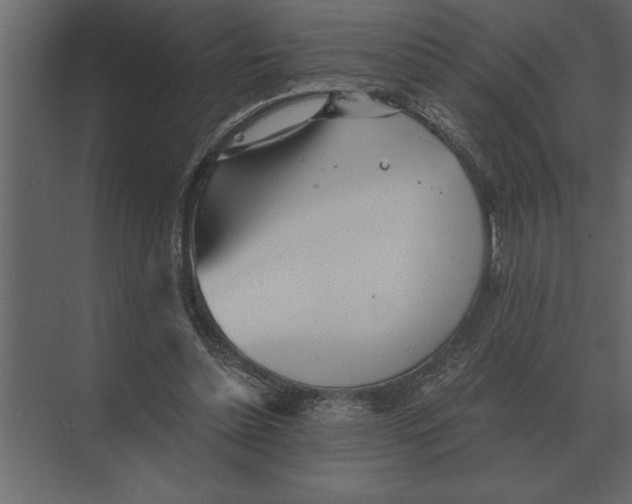 X0000073450348200608181244