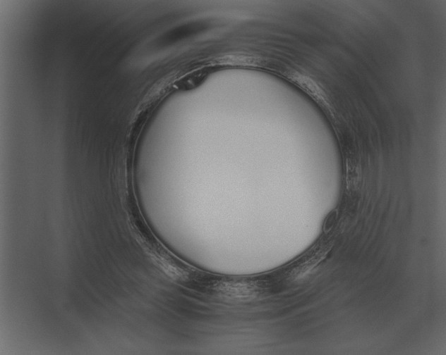 X0000073450349200608181244