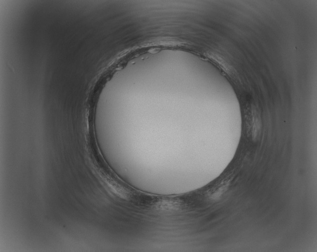 X0000073450350200608181244