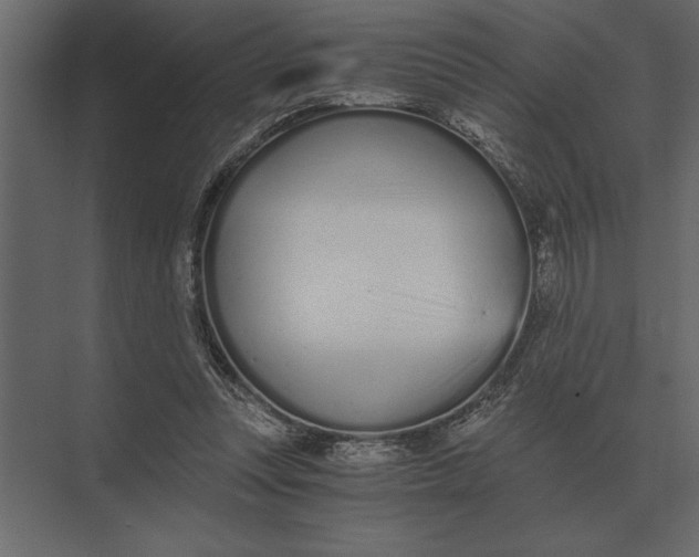 X0000073450351200608181244