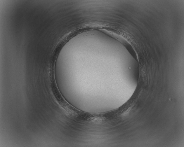 X0000073450352200608181244