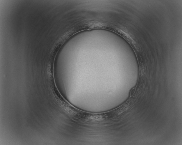 X0000073450353200608181244