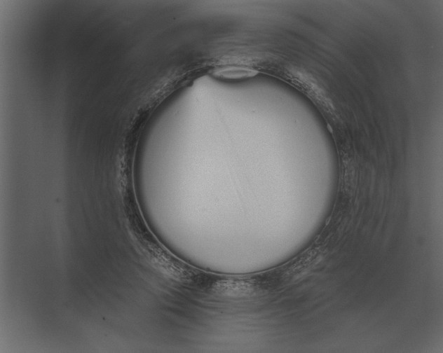 X0000073450354200608181244