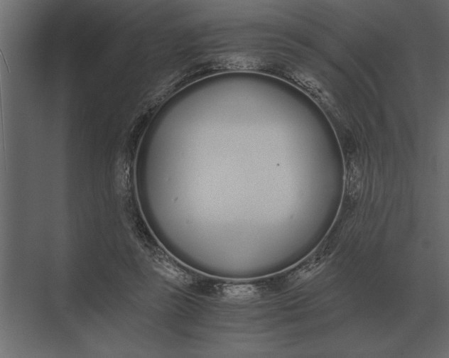 X0000073450355200608181244