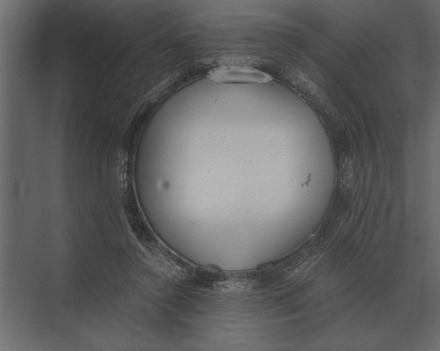 X0000073450356200608181244