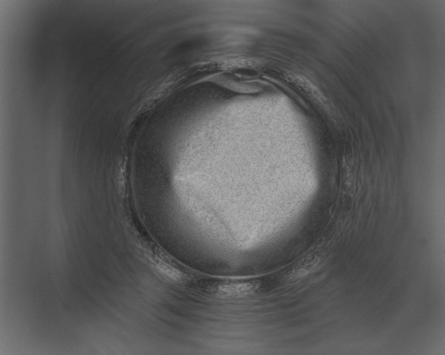 X0000073450357200608181244