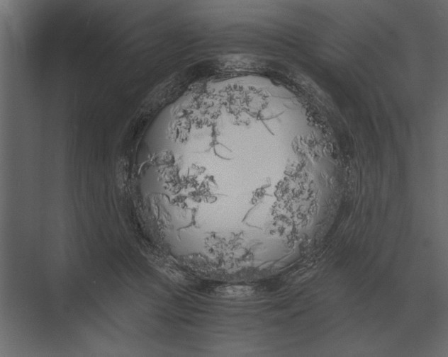 X0000073450361200608181245