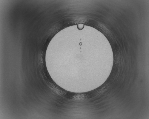 X0000073450362200608181245