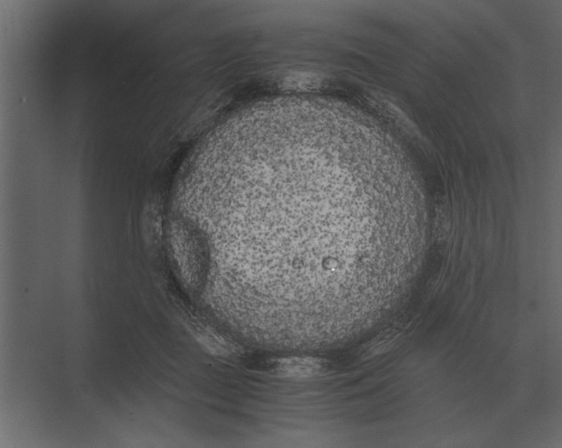 X0000073450363200608181245