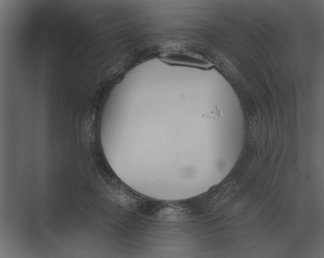 X0000073450364200608181245