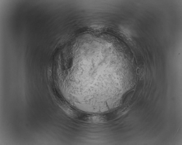 X0000073450365200608181245