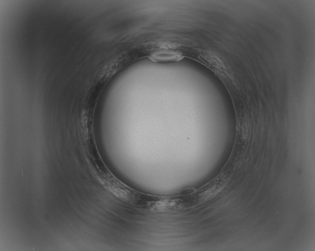 X0000073450366200608181245