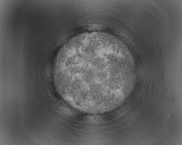 X0000073450367200608181245