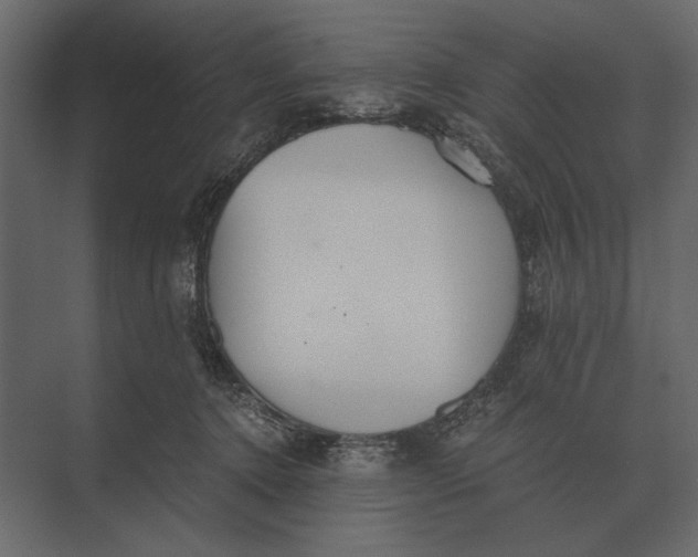 X0000073450368200608181245