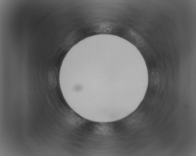 X0000073450370200608181245